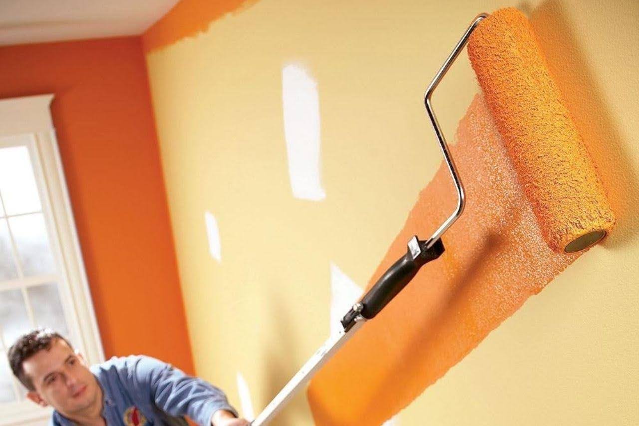 How to Choose the Best Anti-Fungus Wall Paint for Your Home